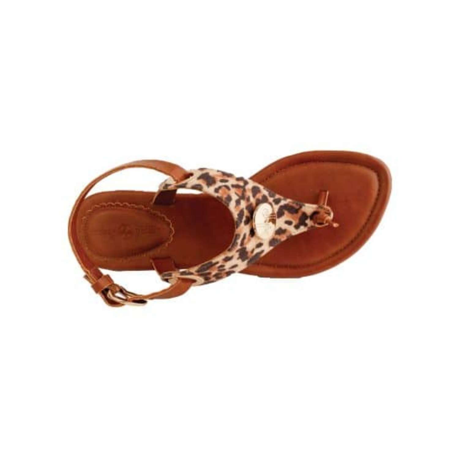 Callie Leopard - Image 3