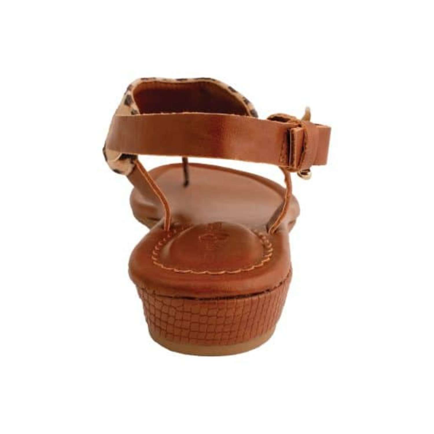 Callie Leopard - Image 6